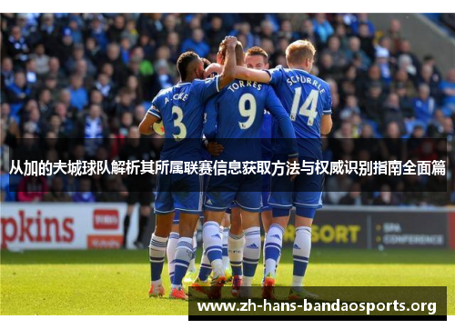 从加的夫城球队解析其所属联赛信息获取方法与权威识别指南全面篇